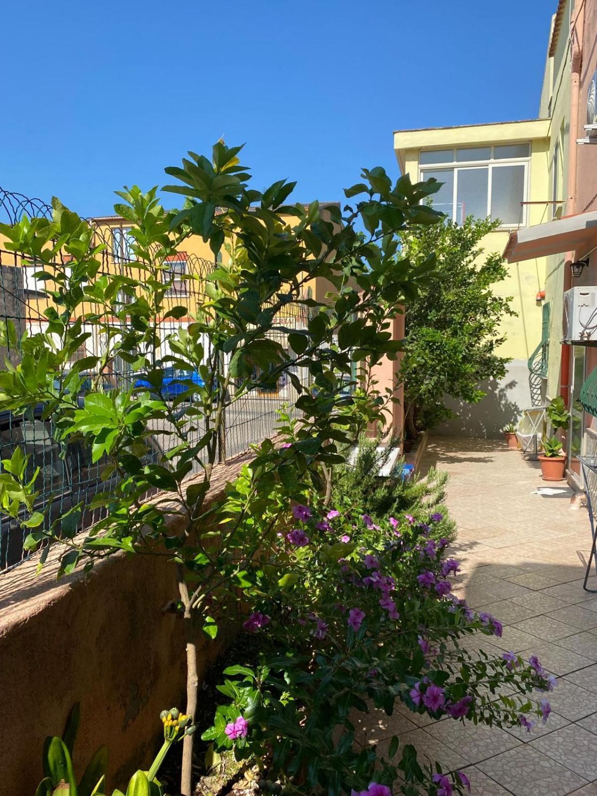 Lemon House Apartment Sassari Luaran gambar